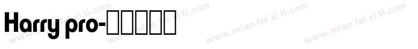 Harry pro字体转换
